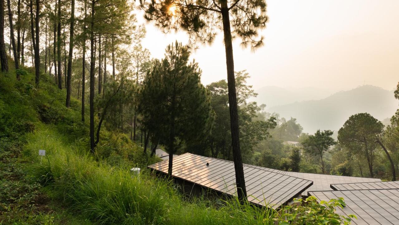 Amaya Kasauli Bagian luar foto
