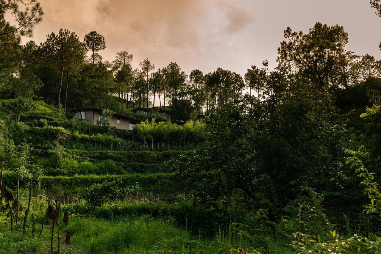Amaya Kasauli Bagian luar foto