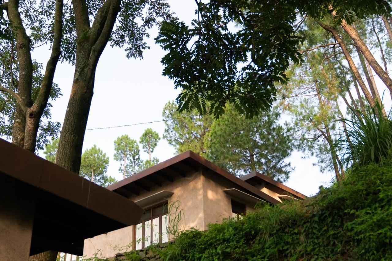 Amaya Kasauli Bagian luar foto
