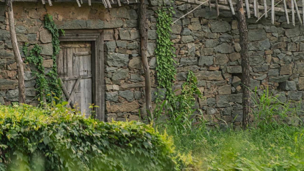 Amaya Kasauli Bagian luar foto