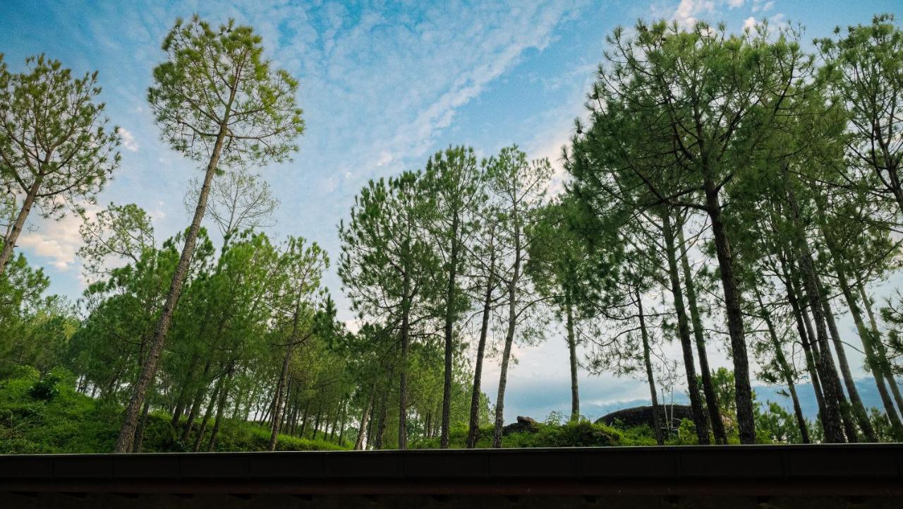 Amaya Kasauli Bagian luar foto