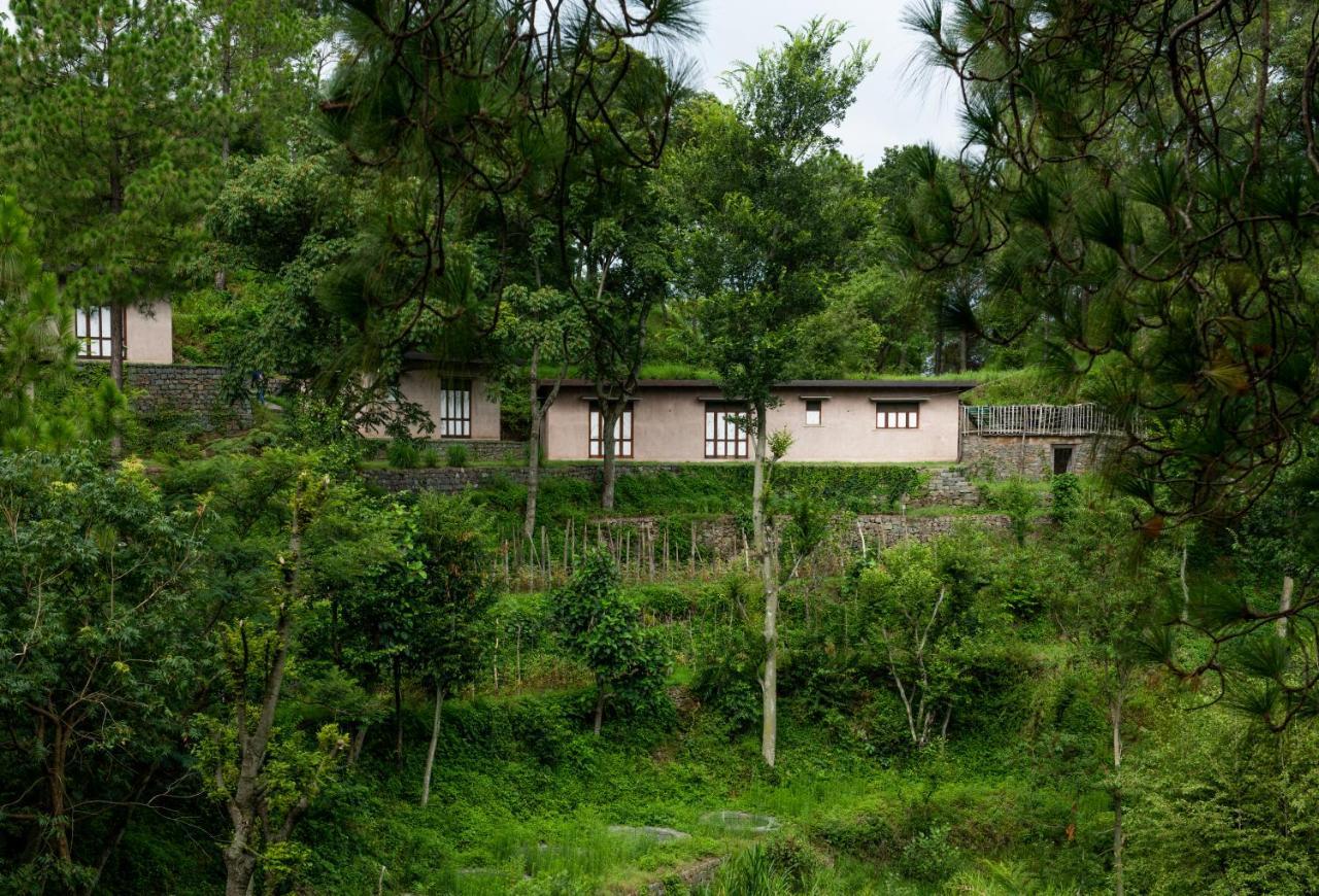 Amaya Kasauli Bagian luar foto