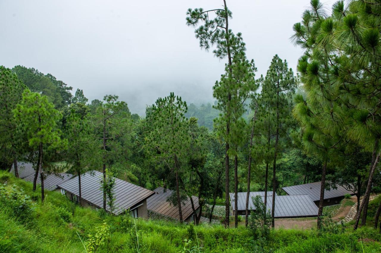 Amaya Kasauli Bagian luar foto